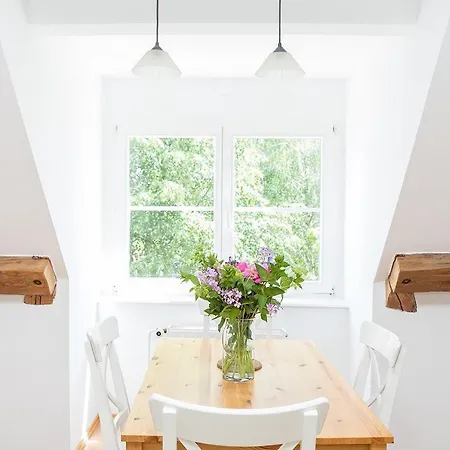 Guest house Dvorce